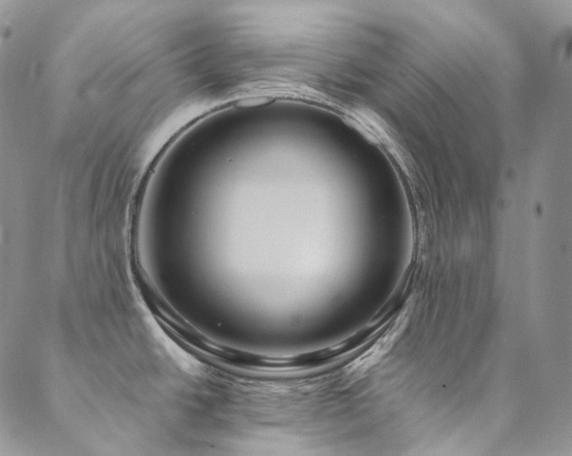 X0000089671438200706211143