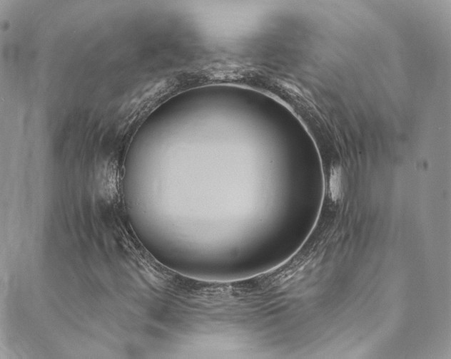 X0000089671444200706211142