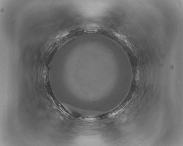 X0000089671445200706211142