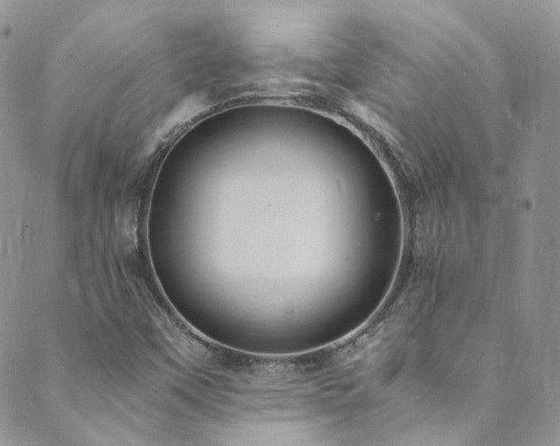 X0000089671451200706211142