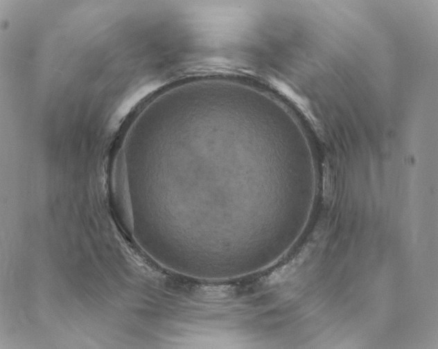 X0000089671453200706211142