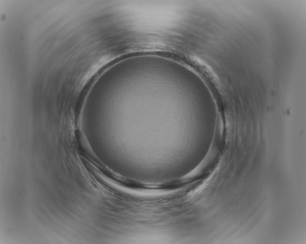 X0000089671457200706211142