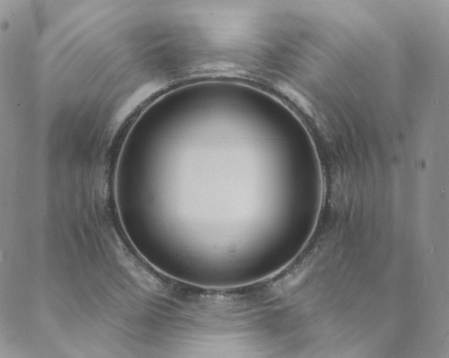 X0000089671458200706211142