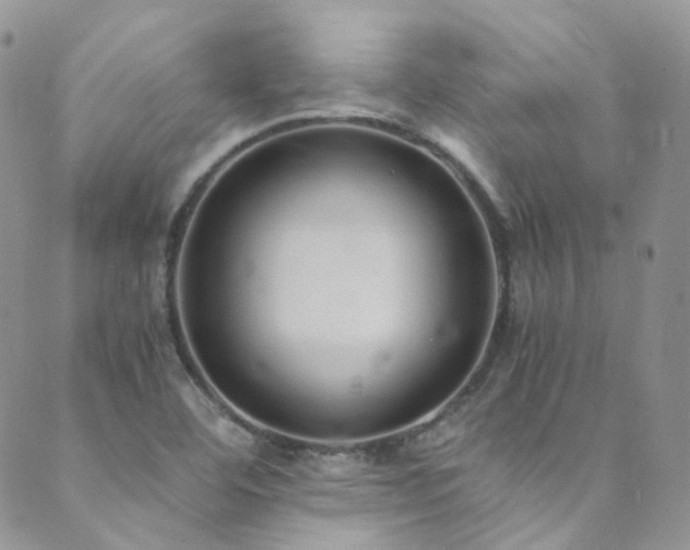 X0000089671460200706211142