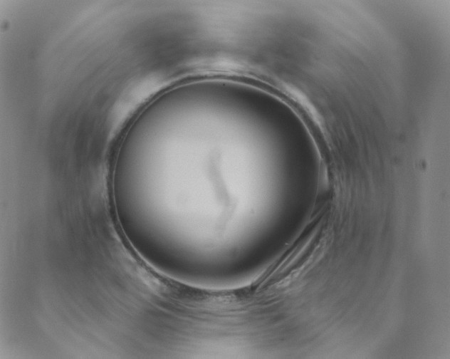 X0000089671464200706211142