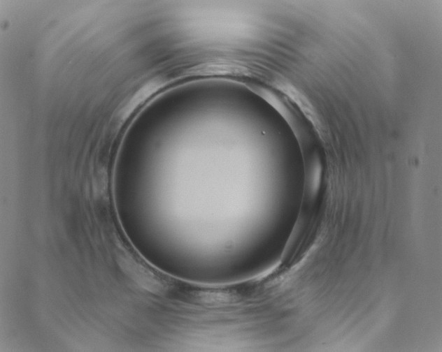 X0000089671465200706211141