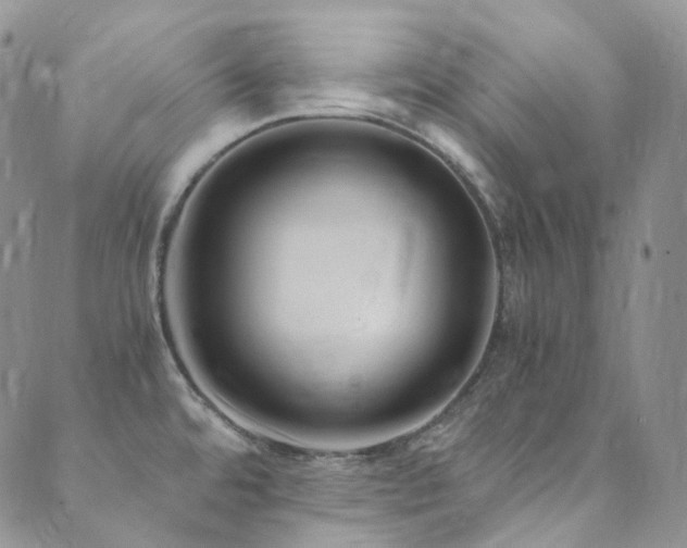 X0000089671480200706211141