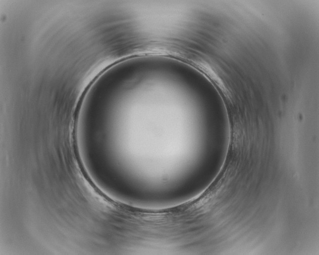 X0000089671484200706211141