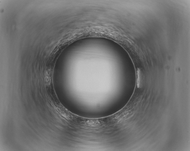 X0000089671491200706211140
