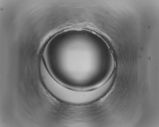 X0000089671506200706211141