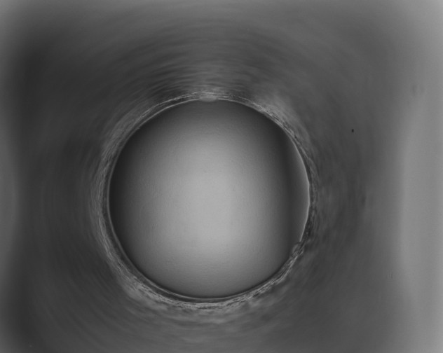 X0000089670001200706281348