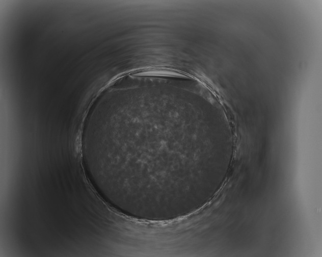 X0000089670002200706281348