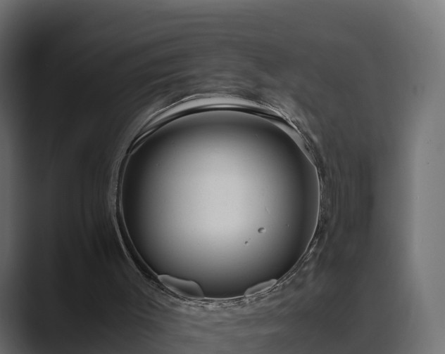 X0000089670003200706281348