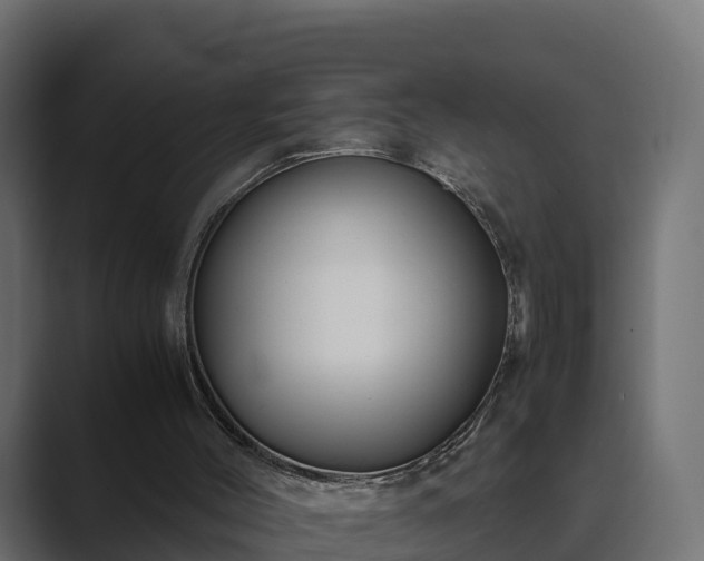 X0000089670004200706281348