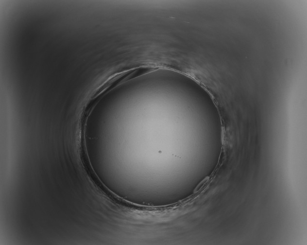 X0000089670005200706281348