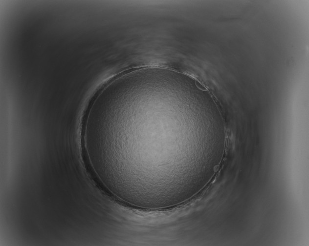 X0000089670006200706281348
