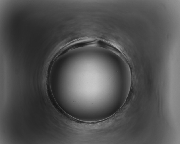 X0000089670007200706281348