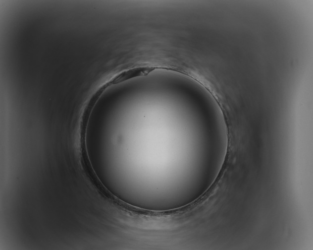 X0000089670008200706281348