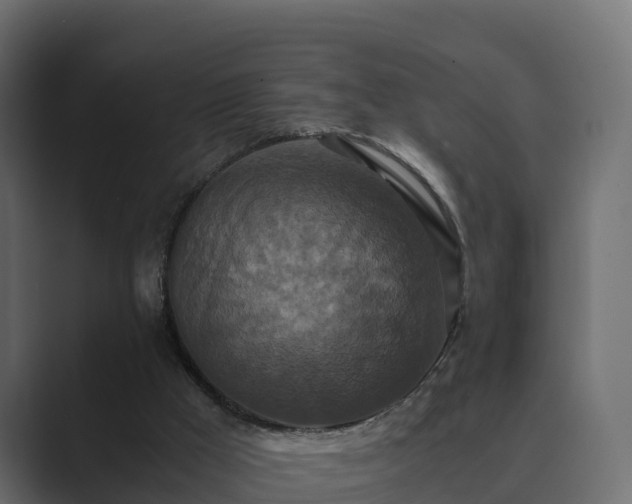X0000089670009200706281348