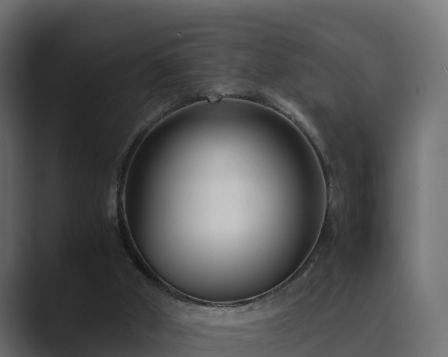 X0000089670010200706281348