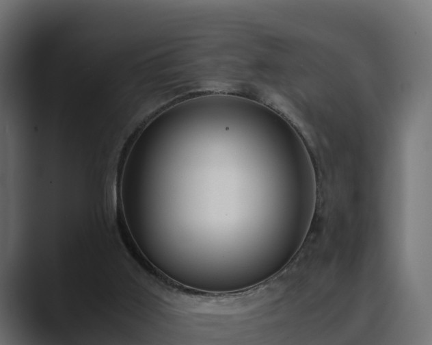 X0000089670011200706281348