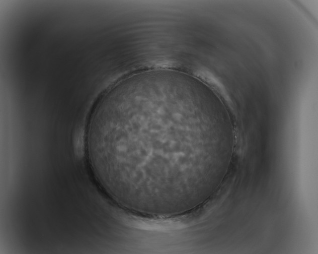 X0000089670012200706281348