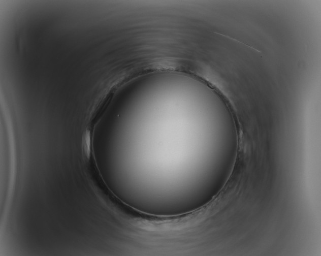 X0000089670013200706281348