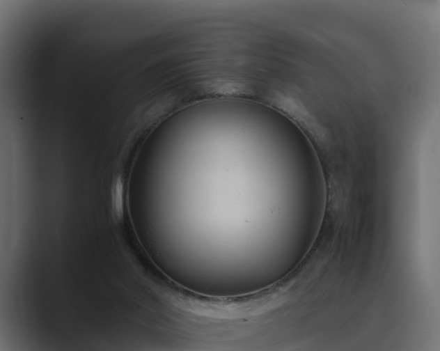 X0000089670014200706281348