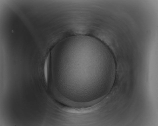 X0000089670017200706281347
