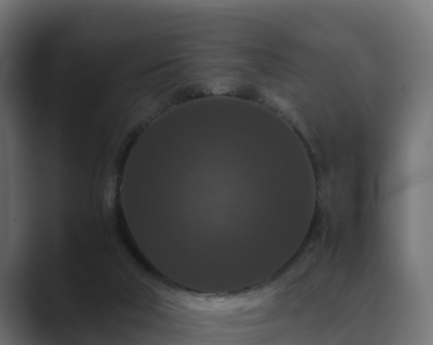 X0000089670018200706281347