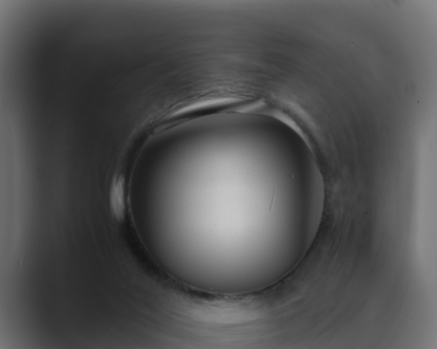 X0000089670020200706281347
