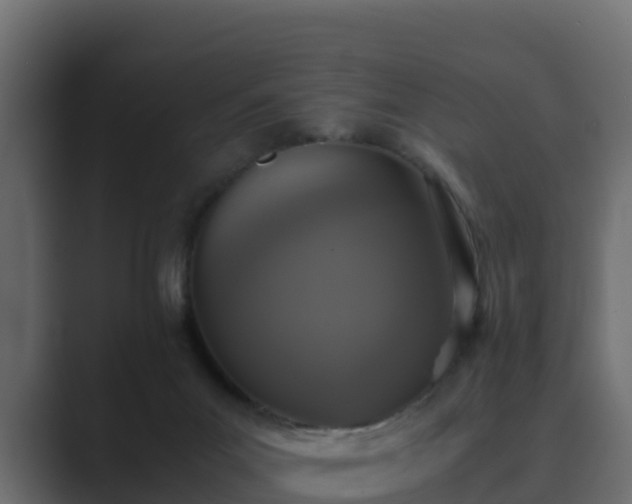 X0000089670023200706281347
