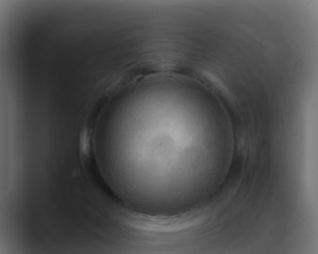 X0000089670026200706281347