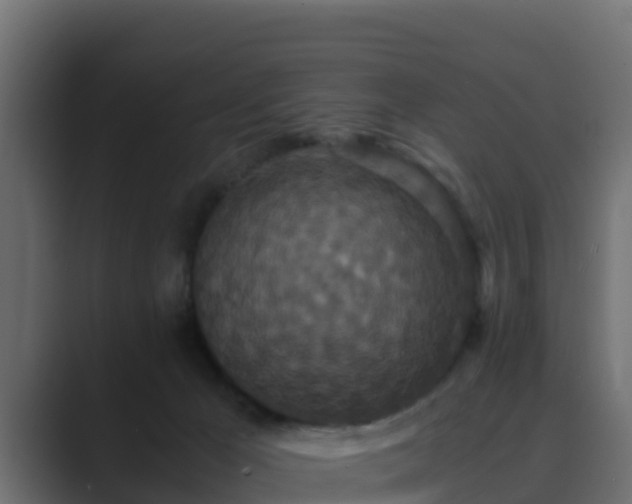 X0000089670029200706281347