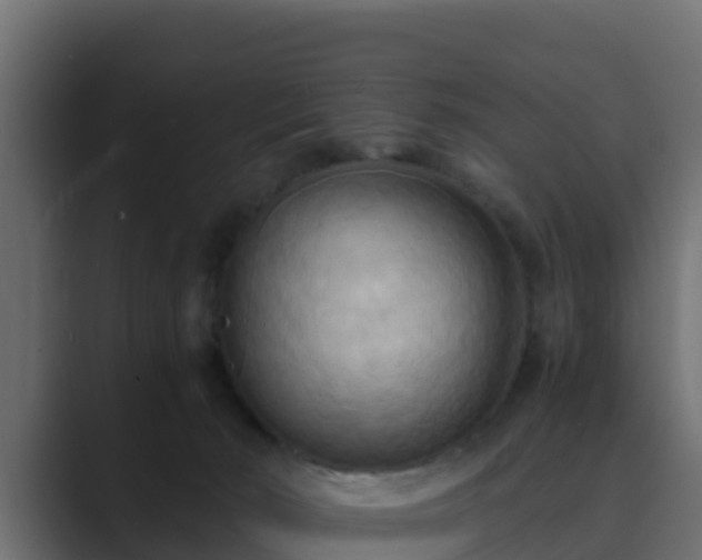 X0000089670030200706281347