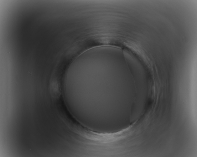 X0000089670031200706281347