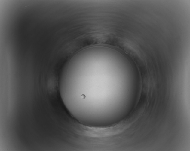 X0000089670034200706281347