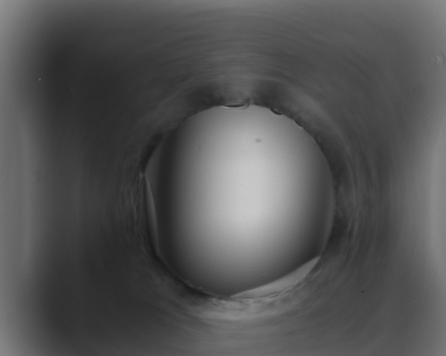 X0000089670037200706281347