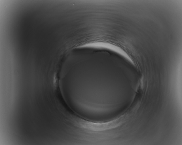 X0000089670039200706281347