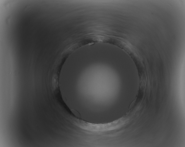 X0000089670043200706281347