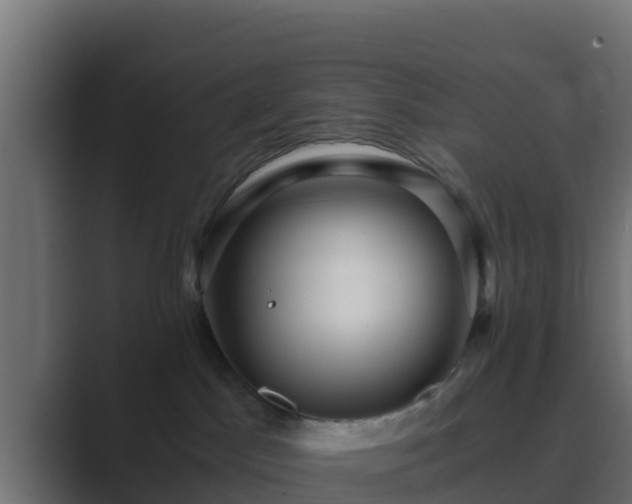 X0000089670045200706281347