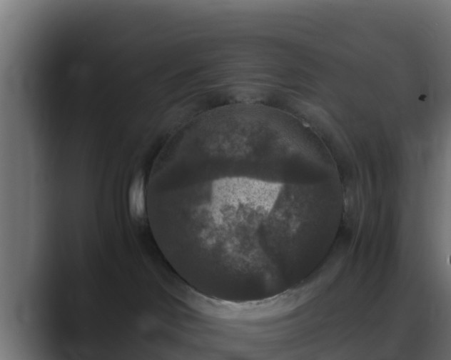 X0000089670046200706281347