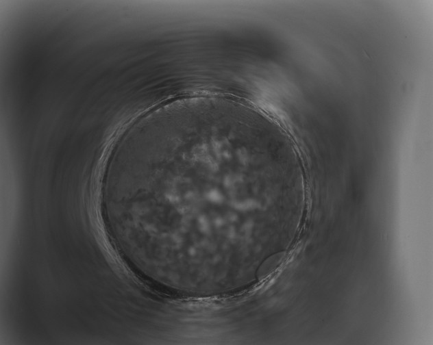X0000089670049200706281347