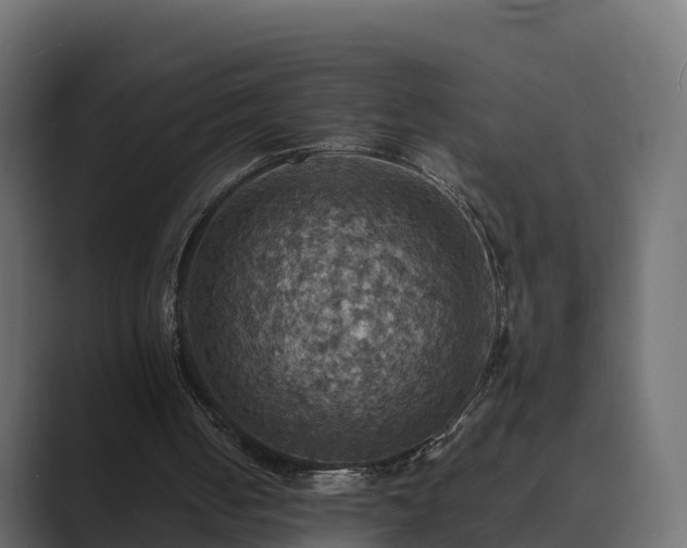 X0000089670050200706281347