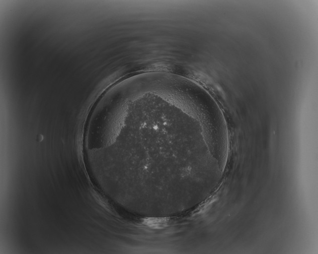 X0000089670051200706281347