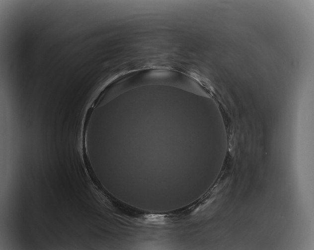 X0000089670052200706281347