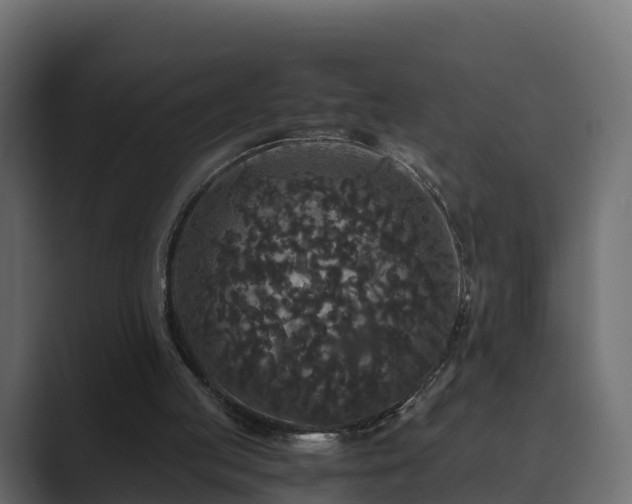 X0000089670053200706281347