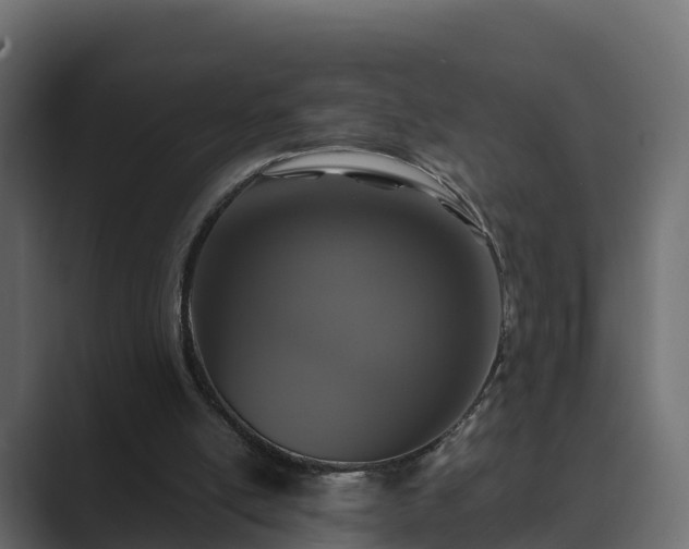 X0000089670054200706281347