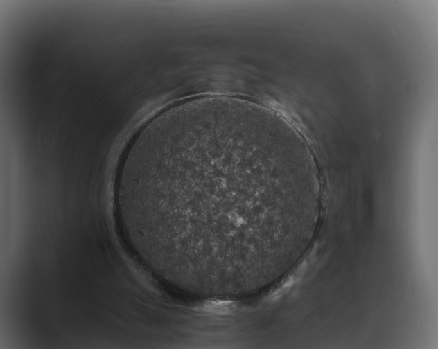 X0000089670055200706281347