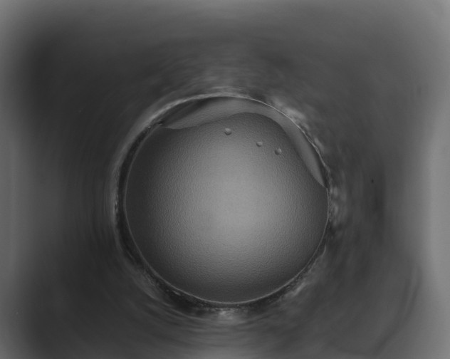 X0000089670056200706281347